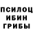 Псилоцибиновые грибы Psilocybe T. Taiga
