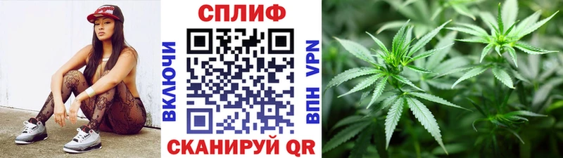 мориарти состав  Стерлитамак  Бошки марихуана THC 21%  купить  